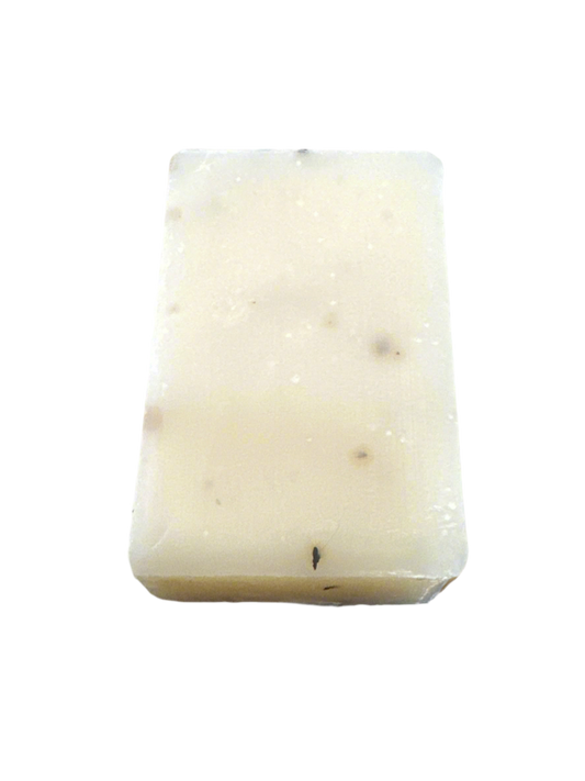 Eucalyptus-Aloe Cold Process Soap Bar