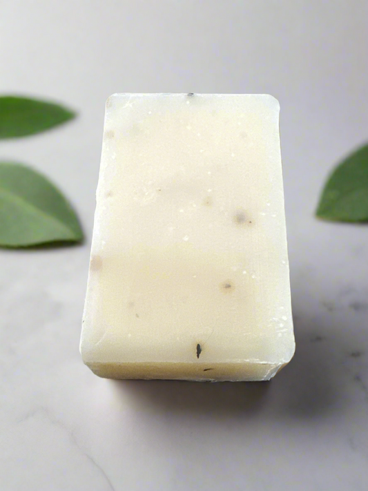 Eucalyptus-Aloe Cold Process Soap Bar